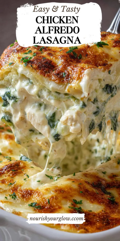 alfredo lasagna recipe