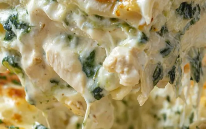 alfredo lasagna recipe
