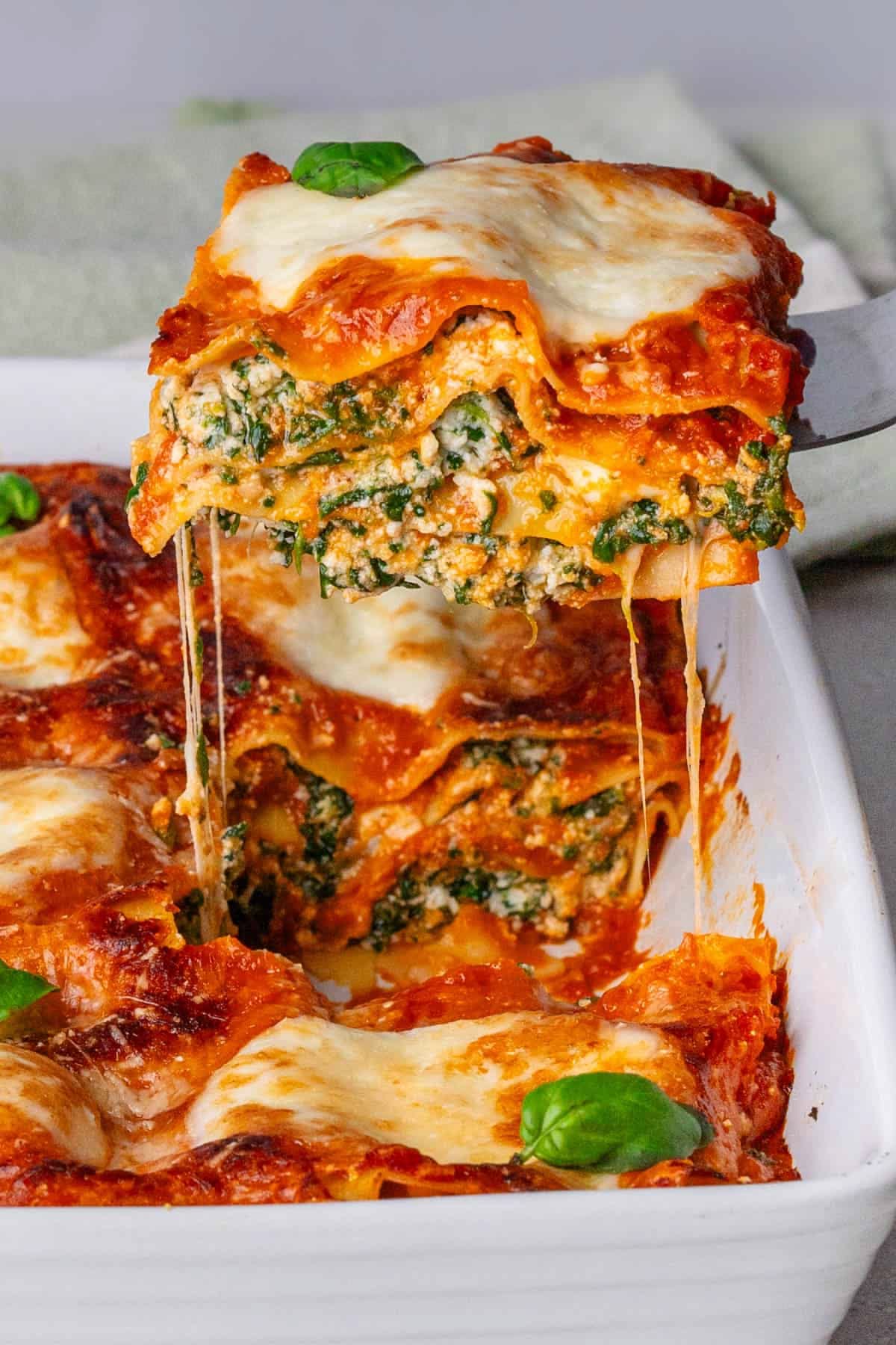 Cheese And Spinach Lasagna